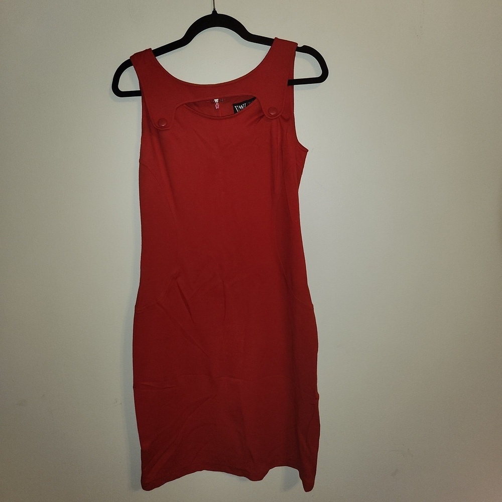 Worth Vibrant Red Mini Dress
